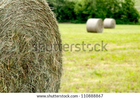 Hay roll foreground and background 2 hay rolls