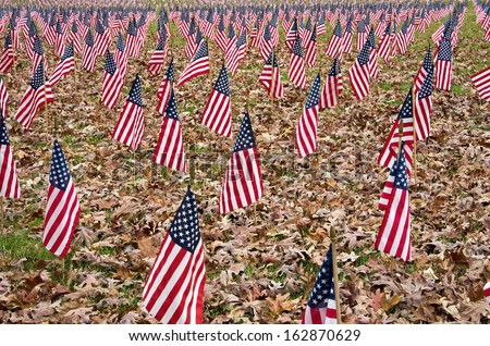 Multitude of American flags honor our veterans on Veterans Day.