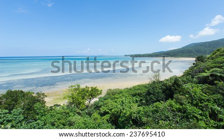 Tropical seascape full of clear coral water and lush green Jungle in Iriomote-jima, Okinawa, Japan