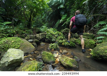 Man trekking through untouched tropical Jungle stream deep in the Rain Forest of Iriomote-jima, Okinawa, Japan