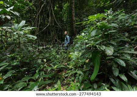Man standing in lush Jungle greenery in Khao Sok National Park rain forest in Southern Thailand