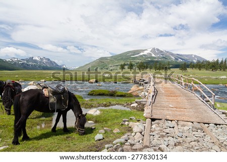 Horse grazing on grass next to old wooden bridge in Mongolian countryside landscape