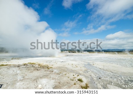 Geysers erupting in Yellowstone National Park beautiful landscape, Wyoming, US, America during Summer vacation