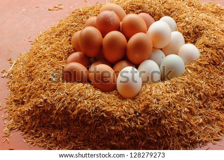 Duck eggs and chicken eggs