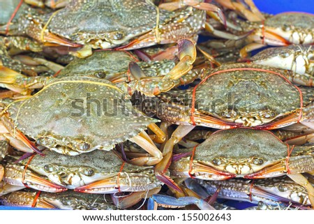 Fresh crab on the market.