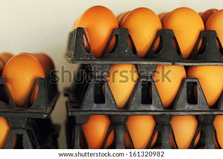 Eggs in the panel - the panel black