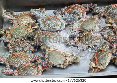 Fresh crab in the market