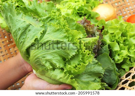 Fresh green vegetables salad in hand.