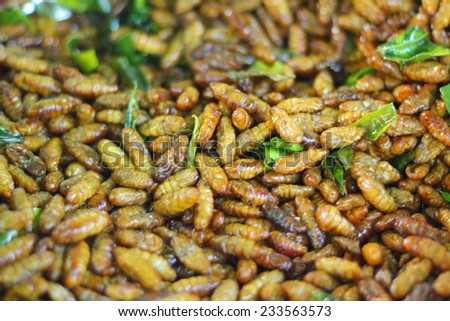 fried silk worms in the market
