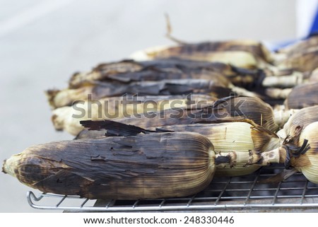 Roasted barbecue corn - grilled corn