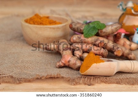 Turmeric herb yellow powder and fresh turmeric
