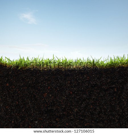 Cross Section Of Grass And Soil Against Blue Sky