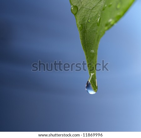 macro shot of a water drop