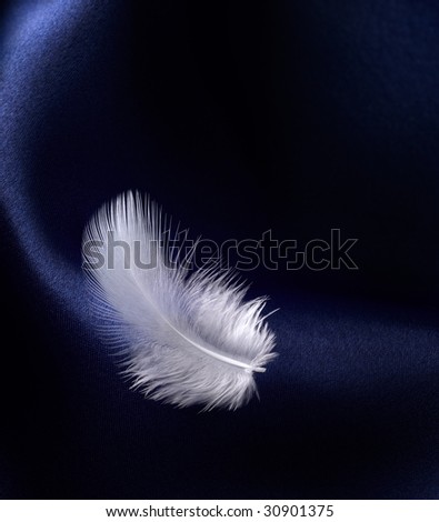 white feather on blue satin with curve and wave