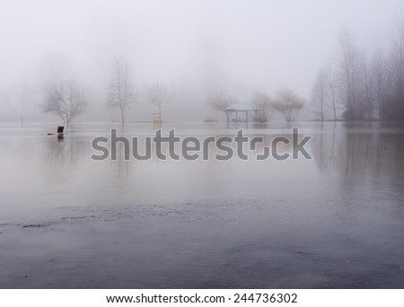 Snoqualmie river floods the park in Duvall, Washington