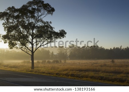 Hunter Valley NSW
