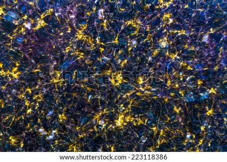 Flowing swirls of royal blue, yellow, violet and gold, rendered oil paint