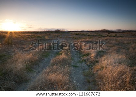 Oceanside, California Sunset in a grassy area with a worn road.