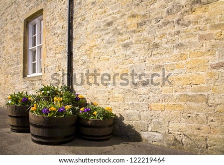 Tubs of purple and yellow flowers stood by a stone wall of a house