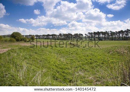 Line of trees and meadow on the Mendip hills, Somerset UK