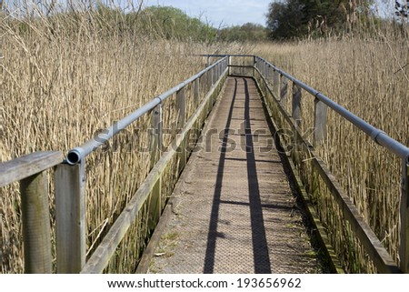 Walkway leading to a bird hide building at the Somerset wetlands wildlife reserve, the bird hides are used to watch the birdlife without disturbing them