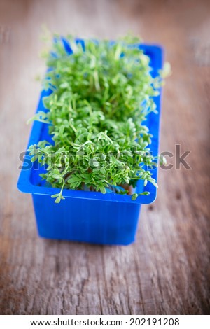Fresh edible healthy watercress in the box