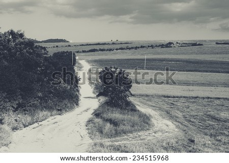 Country road field landscape black and white
