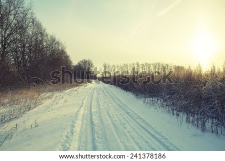 Winter road forest field landscape