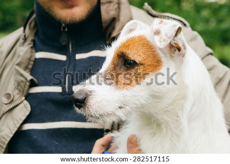 Cute dog funny Jack-Russell-terrier nature walking