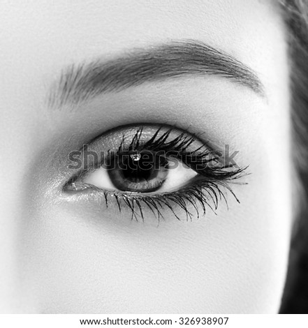 Eye woman eyebrow eyes lashes black and white