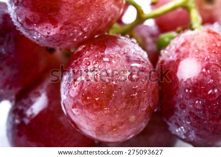 Red grapes with white background