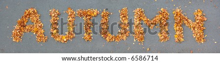 fallen yellow leaves are combined into letters to make word AUTUMN