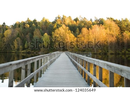wooden bridge over a lake which leads to an autumn/fall forest