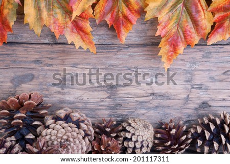 Fall Background with Frame of Autumn Leaves and Fir Cones