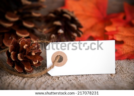 Autumnal Background with orange Leaves and Fir Cones and an Empty Label with Copy Space