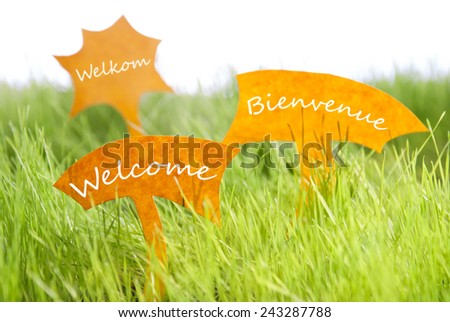Three Labels With Dutch Text Welkom And French Text Bienvenue Which Means Welcome On Sunny Green Grass For Spring Or Summer Feeling