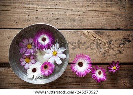 Silver Bowl With Copy Space For Your Text Here Or Free Text  With Purple And White Cosmea Blossoms On Wooden Background Vintage Retro Or Rustic Style With Frame