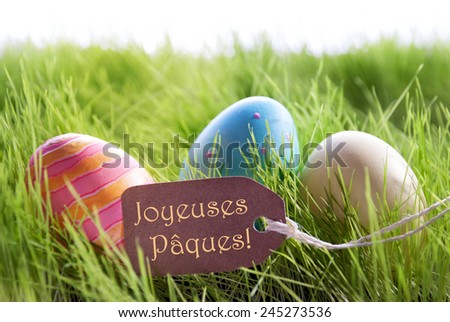 Colorful Easter Background With Three Easter Eggs And Label With French Text Joyeuses Paques On Green Grass For Happy Easter Seasons Greetings