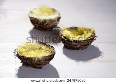 Three Easter Baskets Or Nests With Yellow Feathers in Sunny Light With Copy Space Free Text Or Your Text Here For Happy Easter Greetings Or Easter Decoration Close Up Or Macro Wooden Background