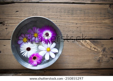 Cosmea Blossoms In A Silver Bowl On Wooden Background For Copy Space Free Text Or Your Text Here For Advertisement Vintage Or Rustic Style