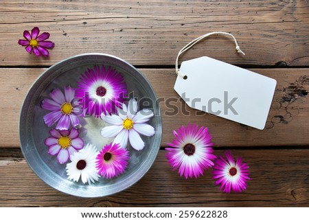Silver Bowl With Empty Label For Copy Space For Your Text Here Or Free Text  With Purple And White Cosmea Blossoms On Wooden Background Vintage Retro Or Rustic Style And Frame