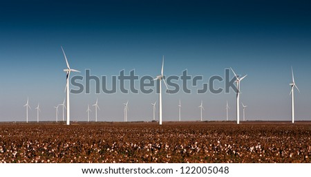 A wind turbine farm in a cotton field in rural West Texas