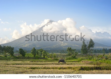 The Mayon Volcano - active volcano rising 2,462 metres,  known as the  most perfectly cone-shaped volcano.Location on  Luzon island, Philippines