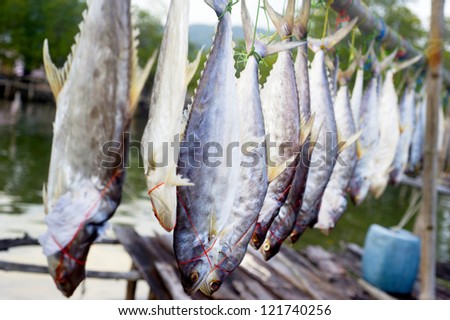 Dry fish for sale in a Thai fishermans village
