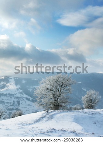 winter landscape with a mountains and a snow-covered tree