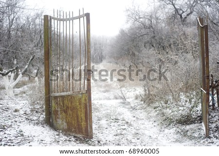 Old rusty gate in winter park
