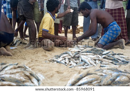 HIKKADUWA, SRI LANKA - FEB 19: Local fishermen sell fish on the beach on February 19, 2011 in Hikkaduwa, Sri Lanka. Fishing in Sri Lanka is a tough job but this is the way they earn their living