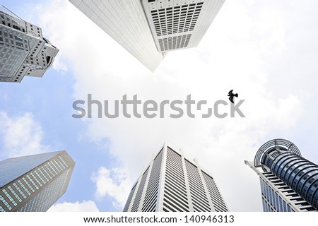 Bird flying beetwen the modern skyscrapers in Singapore