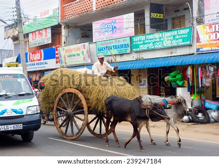 BATTICOALA, SRI LANKA - FEB 15, 2012: Modern car and traditional bullock cart on the road in Batticaloa. This is normal situation for Sri Lankan traffic.