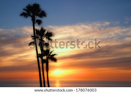 Colorful dream like filtered sunset on the ocean with multiple silhouetted palm trees in the foreground.